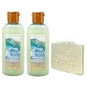 Bath & Body Works At The Beach 2 Pack Mini Moisturizing Shampoo Bundle with a Natural Oats Sample Soap - Travel Size Beauty & Personal Care Bath & Body Works