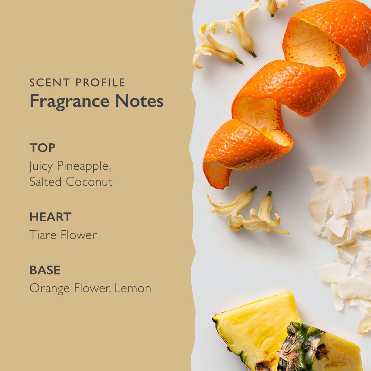 SCENT BEAUTY Scent-Organix I Am Bright Perfume for Men & Women - Fruity and Citrusy Scent with Notes of Pineapple, Tiare Flower & Orange Flower Beauty & Personal Care SCENT BEAUTY