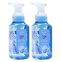 Bath & Body Works Foaming Hand Soap, Set of 2, 8.75oz Each (Lakeside Life) Beauty & Personal Care Bath & Body Works