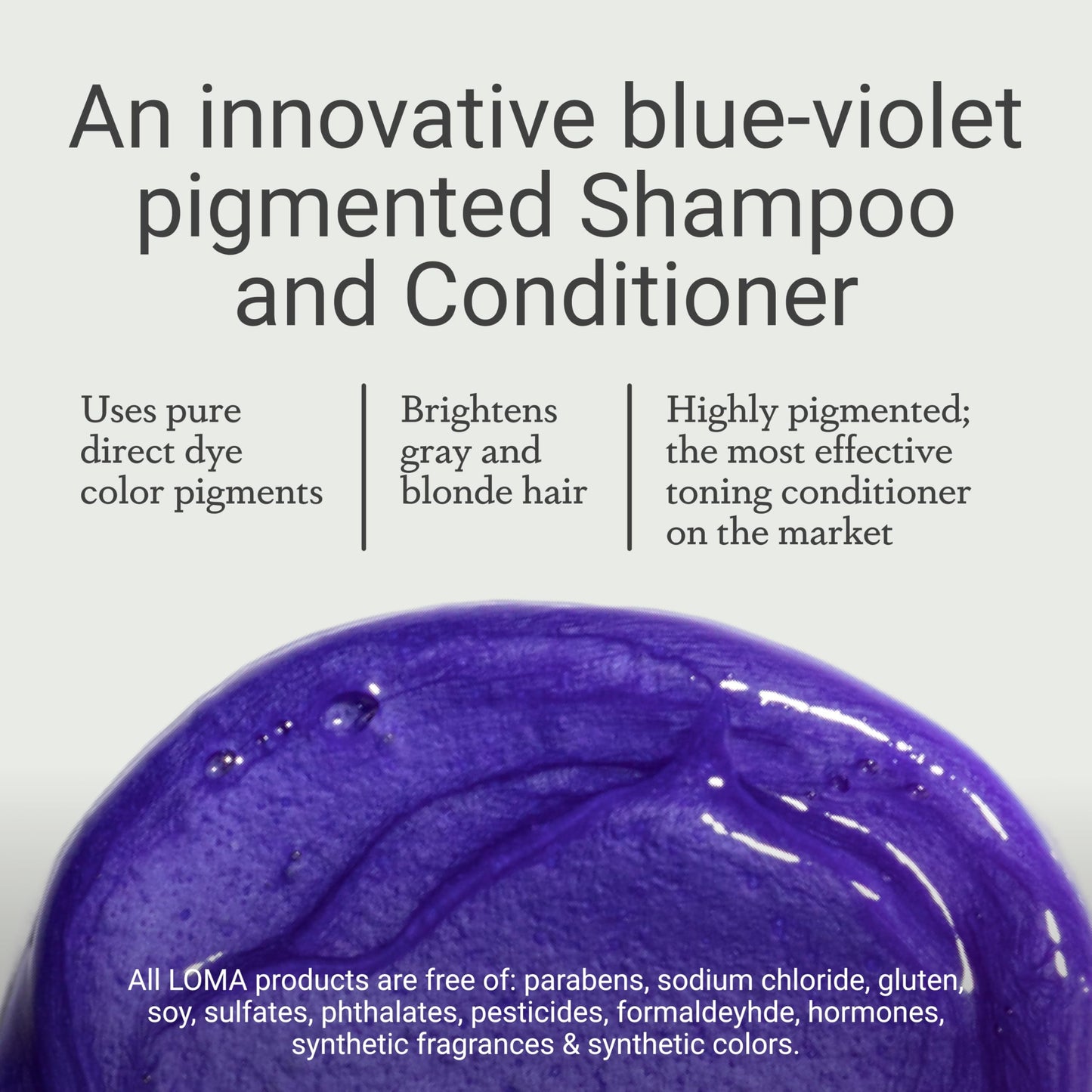 Loma Hair Care Violet Shampoo Violet Conditioner Duo, 33.8 Fl Oz each Beauty & Personal Care Loma