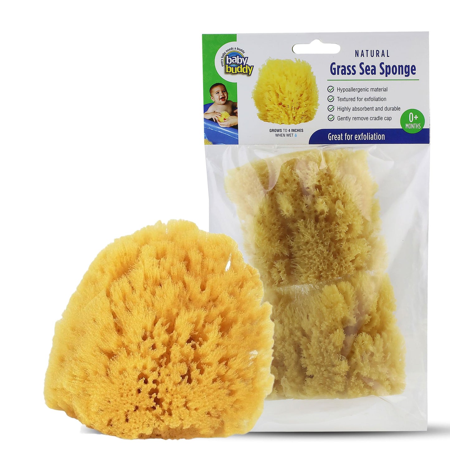Baby Buddy Natural Baby Bath Sponge 4in Soft Grass Sea Sponge, Soft on Baby's Tender Skin, Biodegradable, Hypoallergenic, Absorbent Natural Sea Beauty and Personal Care Baby Buddy