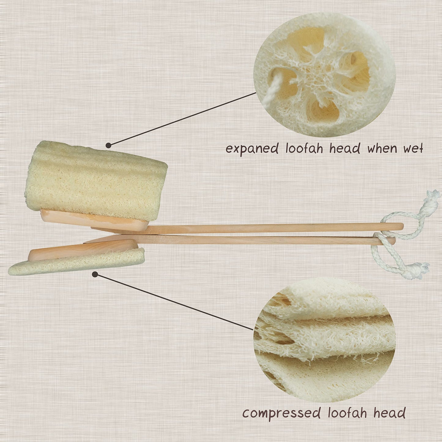 Natural Exfoliating Loofah Luffa Loofa Back Sponge Scrubber Brush with Long Wooden Handle Stick Holder Body Shower Bath Spa Pack of 2 Beauty & Personal Care TTYBG