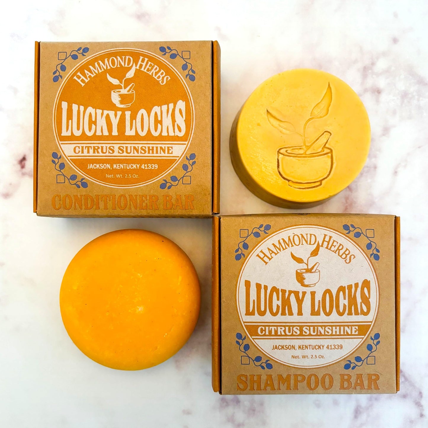 Lucky Locks | Pick Your Scent | Natural Shampoo & Conditioner Bar Set | Zero Waste Hair Care | Sulfate Free (Nettle Mint Meadow) Beauty & Personal Care Hammond Herbs