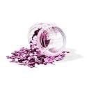 Snazaroo Chunky Bio Glitter, 5g (.17-oz) Tub, Fuchsia Beauty & Personal Care Snazaroo