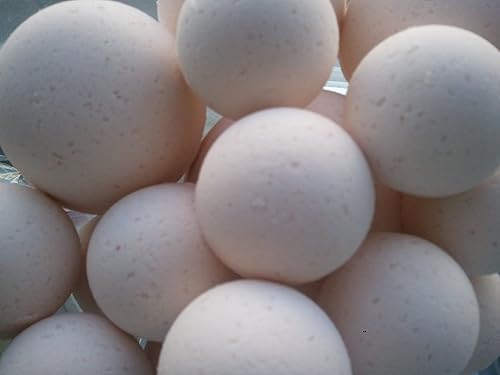 Spa Pure Shea Bath Bombs: 14 Bath Bomb Fizzies with Shea Butter, Ultra Moisturizing ..Great for Dry Skin (Rice Petals & Shea) Beauty & Personal Care Spa Girl/Spa Pure