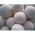 Spa Pure Shea Bath Bombs: 14 Bath Bomb Fizzies with Shea Butter, Ultra Moisturizing ..Great for Dry Skin (Rice Petals & Shea) Beauty & Personal Care Spa Girl/Spa Pure