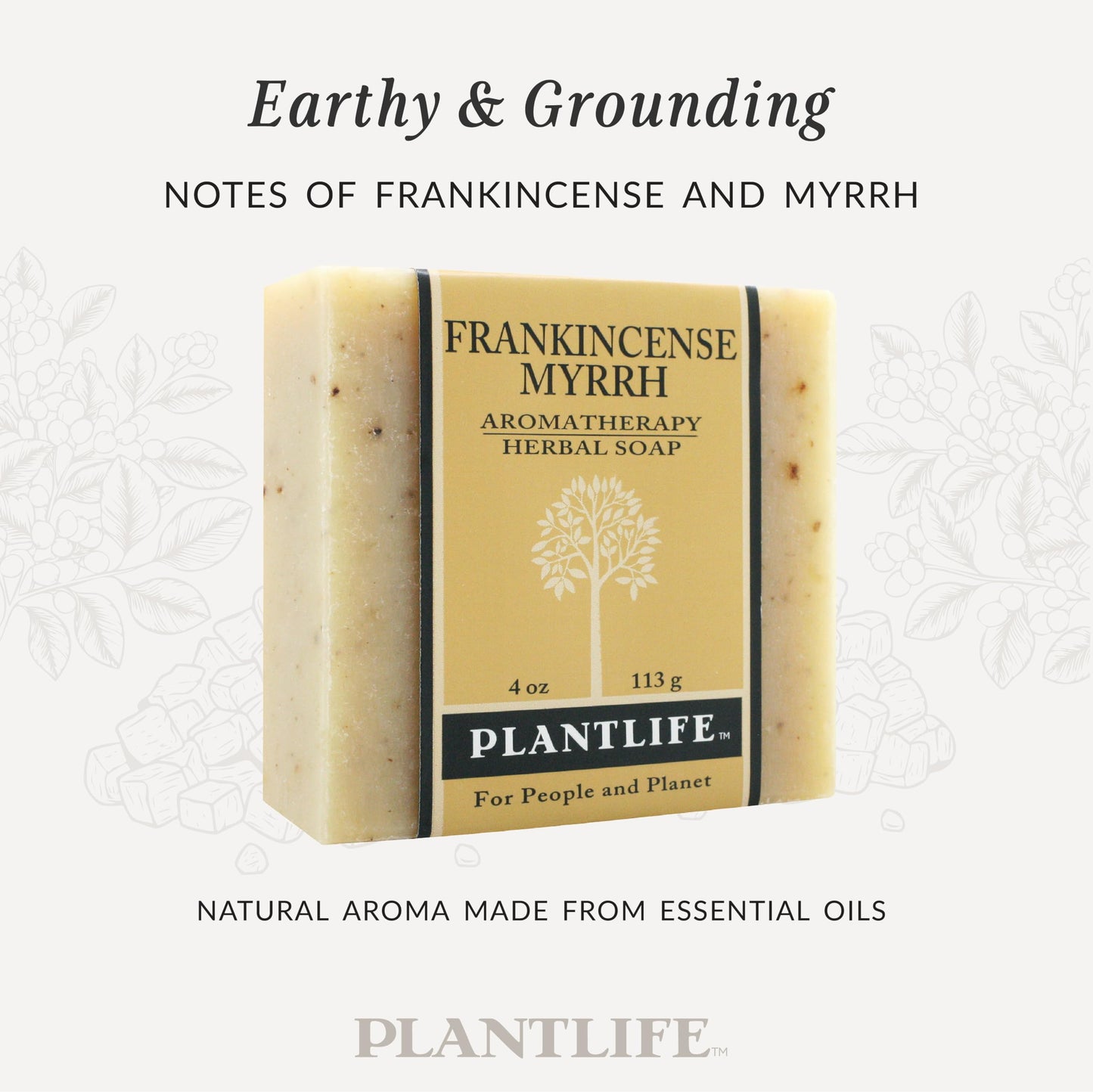 Plantlife Frankincense Myrrh 6-Pack Bar Soap - Moisturizing and Soothing Soap for Your Skin - Hand Crafted Using Plant-Based Ingredients - Made in Beauty & Personal Care Plantlife
