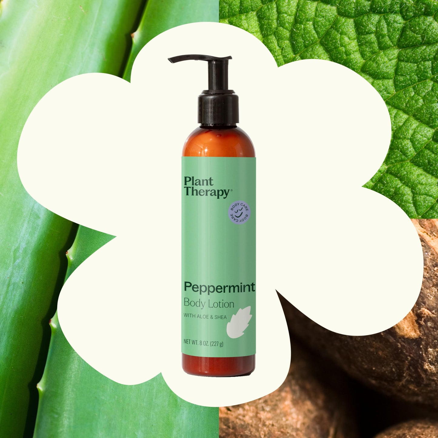 Plant Therapy Peppermint Body Lotion with Aloe and Shea, Hydrate and Nourish Skin with Botanical Ingredients, 8 oz Beauty & Personal Care Plant Therapy