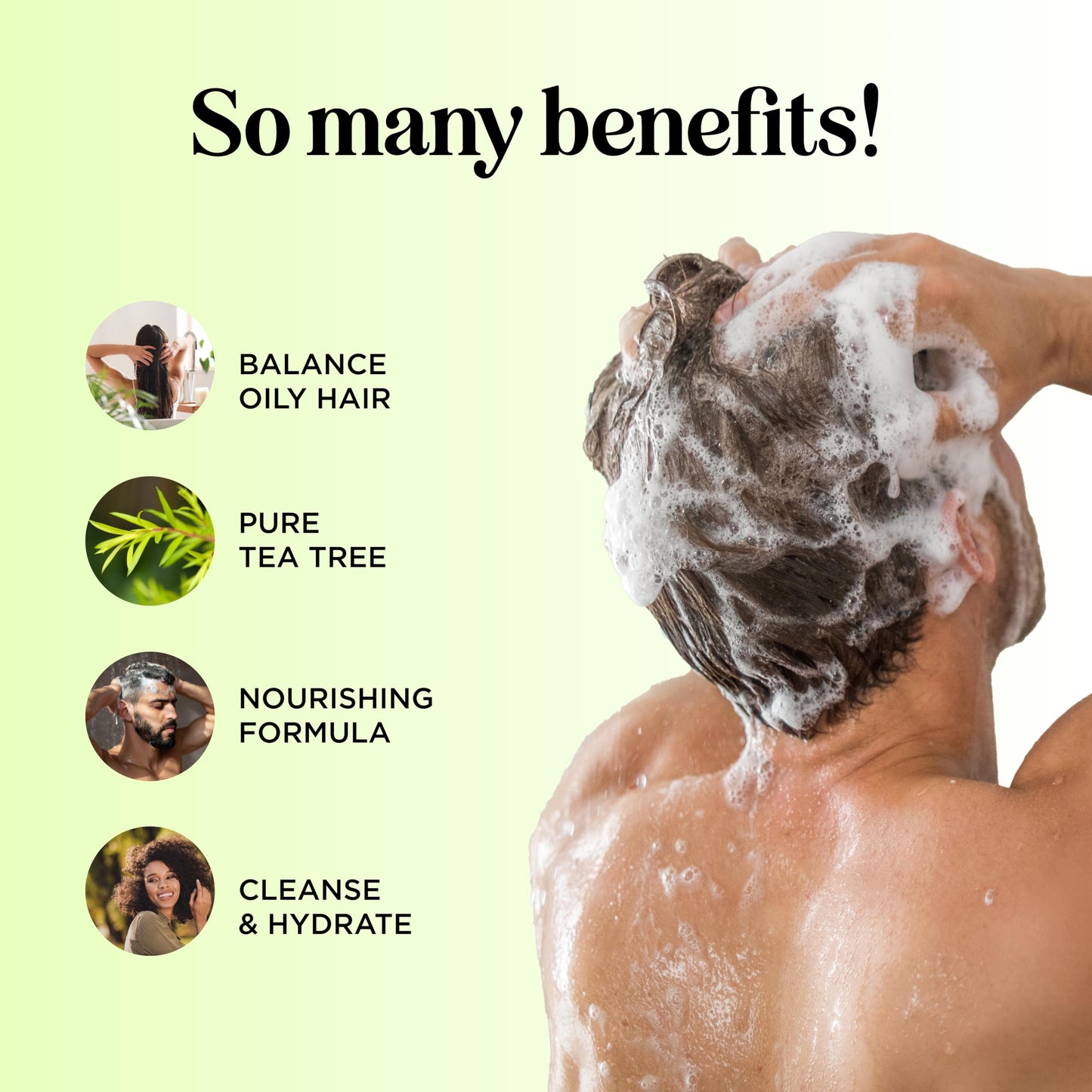 Tea Tree Shampoo and Conditioner Set - Sulfate Free Clarifying Shampoo and Conditioner for Oily Hair & Scalp Care with Australian Tea Tree Oil Beauty & Personal Care Maple Holistics