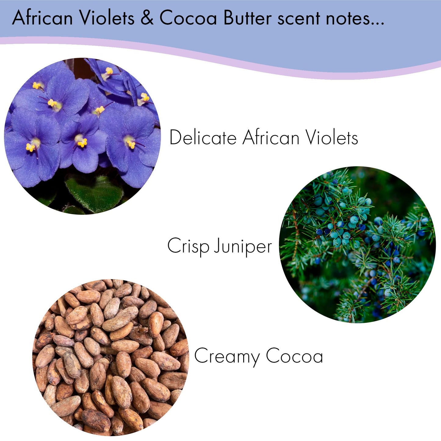 Floral Soap Sampler-Set of 6- Enriched with Shea Butter, Essential Oils, Natural Extracts (African Violet, Black Currant, Almond Butter, Lavender Beauty & Personal Care Greenwich Bay