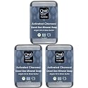 One With Nature Activated Charcoal Soap 7oz 3-Pack - Detoxifying and Exfoliating Charcoal Soap Bar with Dead Sea Salt for Face & Body, for Men & Women Beauty & Personal Care One With Nature