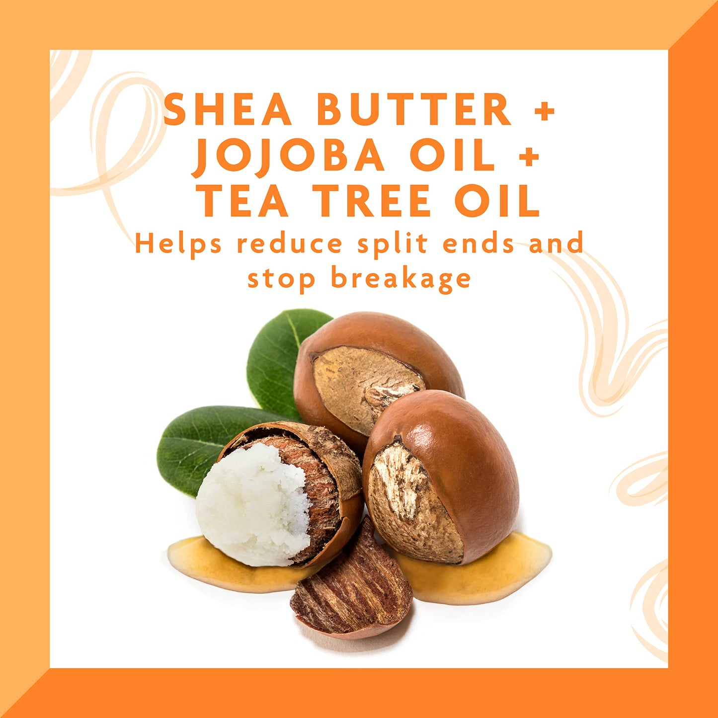 Cantu Tea Tree & Jojoba Hair & Scalp Oil with Shea Butter, 6 fl oz Beauty & Personal Care Cantu