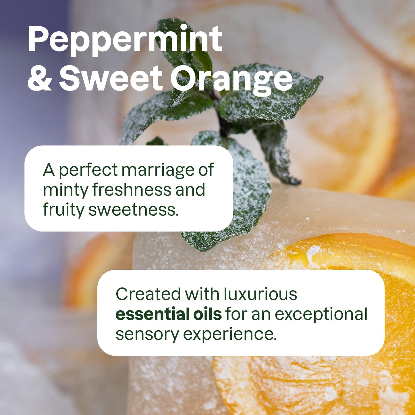 ATTITUDE Liquid Hand Soap, EWG Verified, Plant and Mineral-Based, Vegan Personal Care Products, Peppermint and Sweet Orange, 16 Fl Oz Beauty & Personal Care BIO SPECTRA ATTITUDE