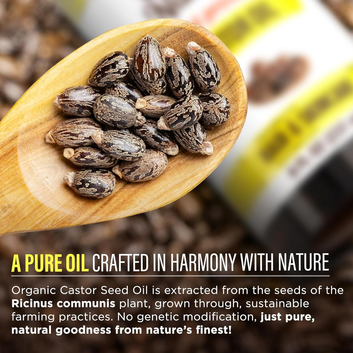 GuruNanda Castor Oil Organic USDA Certified (8 Fl oz) - 100% Pure & Natural, Cold Pressed & Hexane-Free, Hydrating Carrier Oil for Skin, Hair Beauty & Personal Care GuruNanda