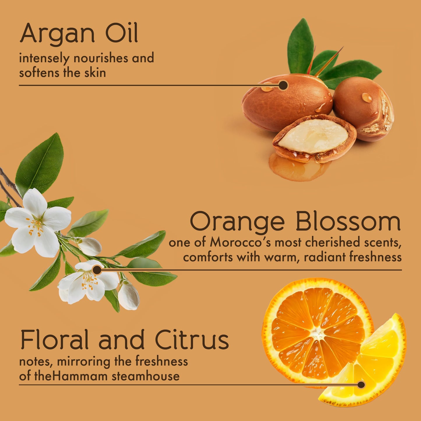 Tesori d’Oriente Hammam Body Wash & Bubble Bath, 17.5 fl oz, Gentle, Hydrating Shower Gel with Argan Oil & Vitamin E, Warm Orange Blossom Scented, No Beauty & Personal Care Tesori d'Oriente