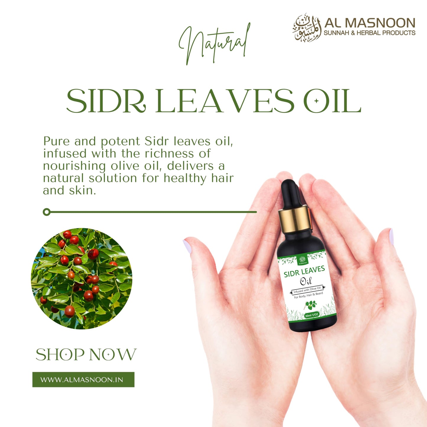 al masnoon Sidr Leaves Oil/Sidr Leaves Infused With Olive Oil/For Body, Hair & Beard/For Ruqaiya/ 30Ml(Pack Of 1) Beauty and Personal Care al masnoon