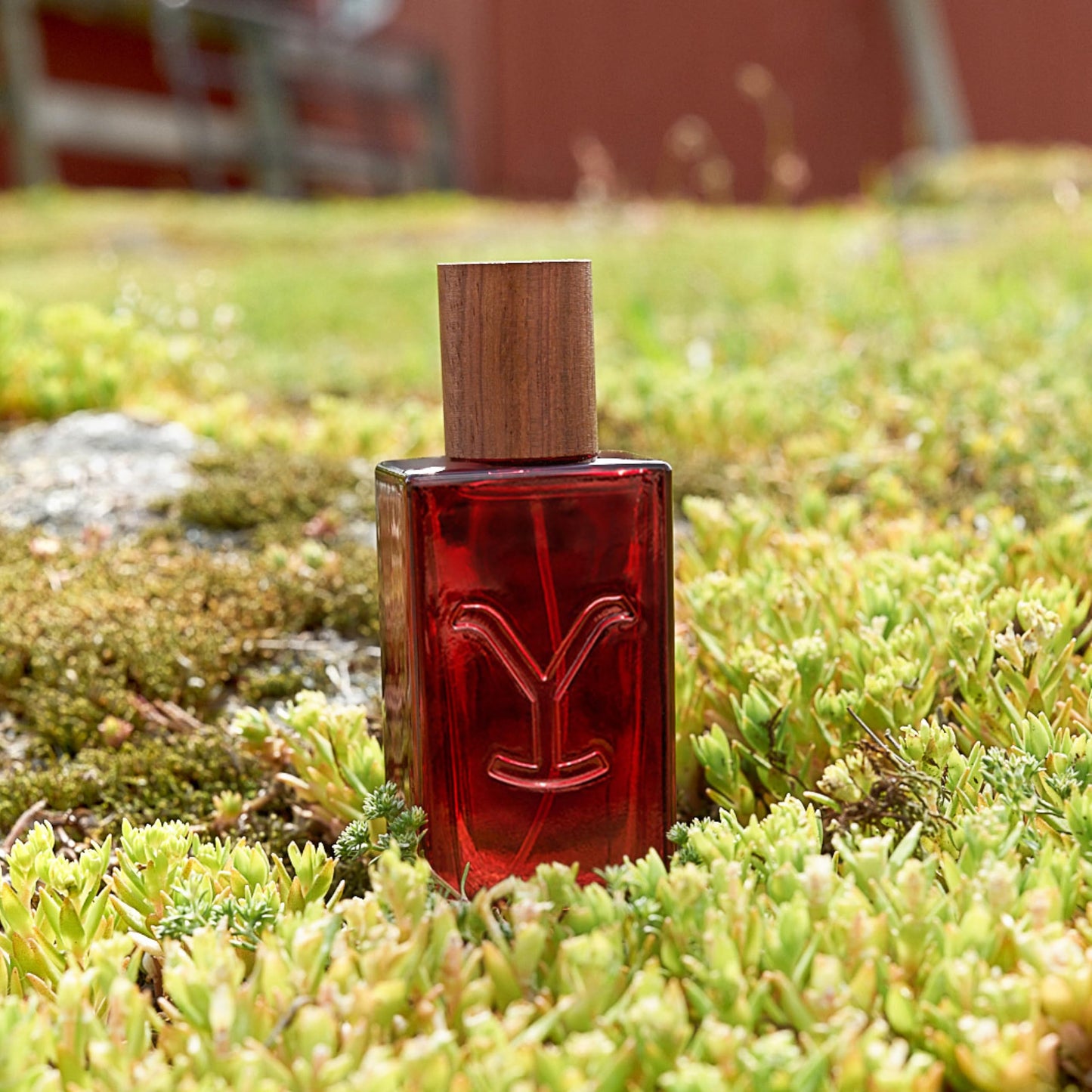 Yellowstone Tornado Women’s Perfume by Tru Western, 1.7 fl oz (50 ml) - Rich, Confident, Sensual Beauty & Personal Care Tru Fragrance Beauty