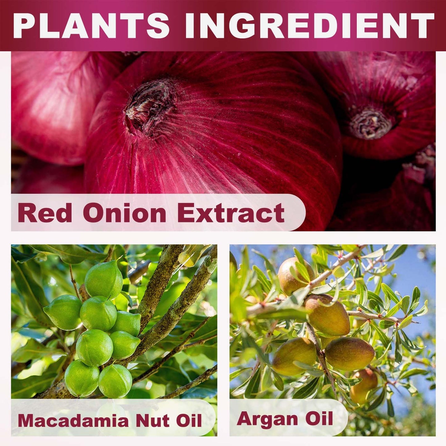 Red Onion Shampoo & Treatment Set, Strengthens, Thickens & Reduces Hair Loss, Strengthening Follicles, Hydrating & Nourishing, for Thinning Beauty & Personal Care TUOSHITONG