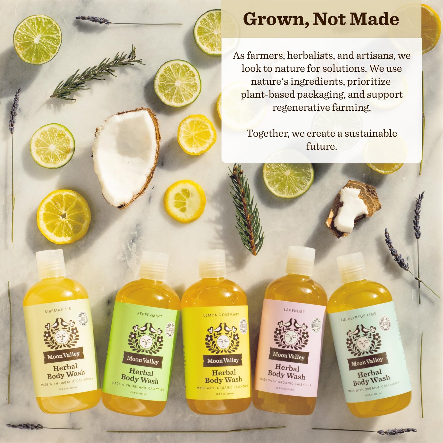 Herbal Body Wash, Siberian Fir by Moon Valley, All Natural Ingredients, No Parabens, Vegan, Moisturizing Essential Oils, Two Pack Beauty & Personal Care Moon Valley Organics