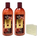 Bath & Body Works Champagne Apple & Honey 2 Pack Moisturizing Shampoo Bundle with a Natural Oats Sample Soap Beauty & Personal Care Bath & Body Works