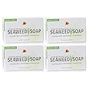 Reviva Seaweed Soap - 4 Pack - Organic Seaweed Face Scrub and Exfoliating Body Scrub Soap Bar - 4.5 oz. Vegetable Base Natural Bar Soap and Seaweed Beauty & Personal Care Reviva Labs