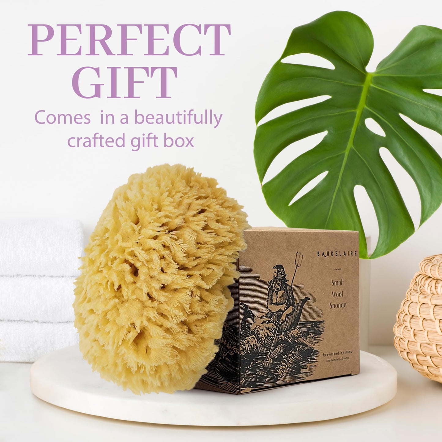 Baudelaire Sea Wool Sponge 5.5" - Natural Sea Sponge for Bathing and Shower - Durable, Sustainable & Environment-Friendly Loofah for Body Beauty & Personal Care Baudelaire