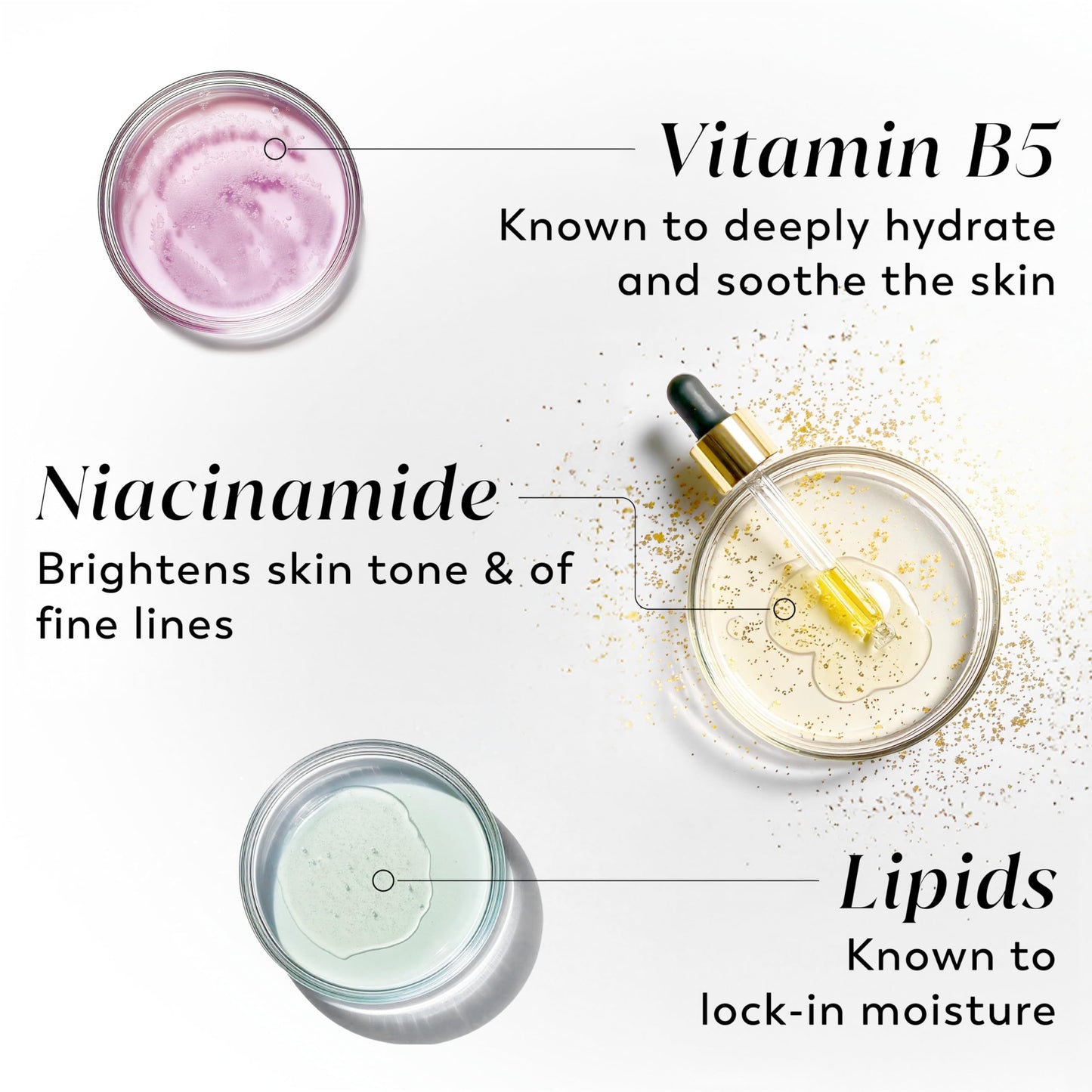 Olay Body Lotion for Women, Age Defying with Niacinamide Serum, Visibly Reduce Signs of Skin Aging, 24hr Moisture & Hydration, Fast Absorbing Formula Beauty & Personal Care Olay
