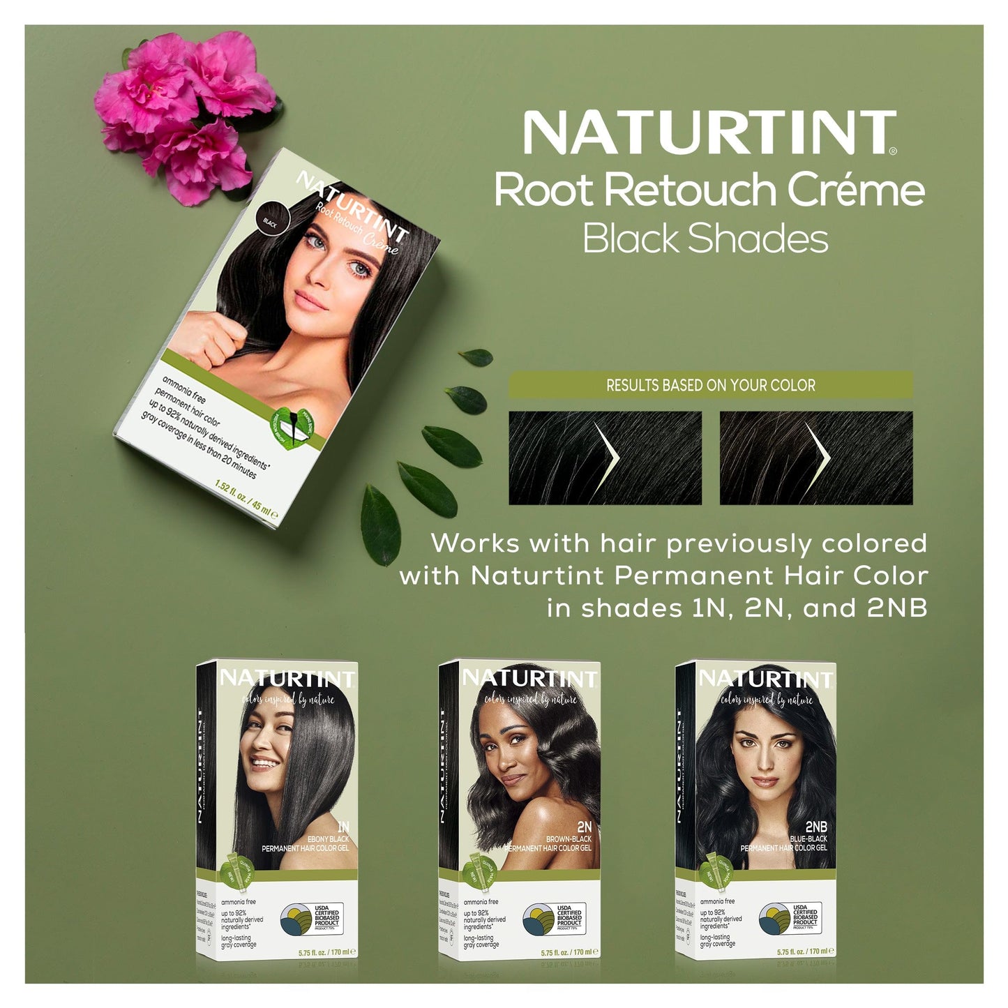 Naturtint Black Root Retouch Crème Permanent Hair Color - Ammonia Free, Conceal Grays, No Artificial Scent, 1.52 Fl Oz Beauty & Personal Care Naturtint
