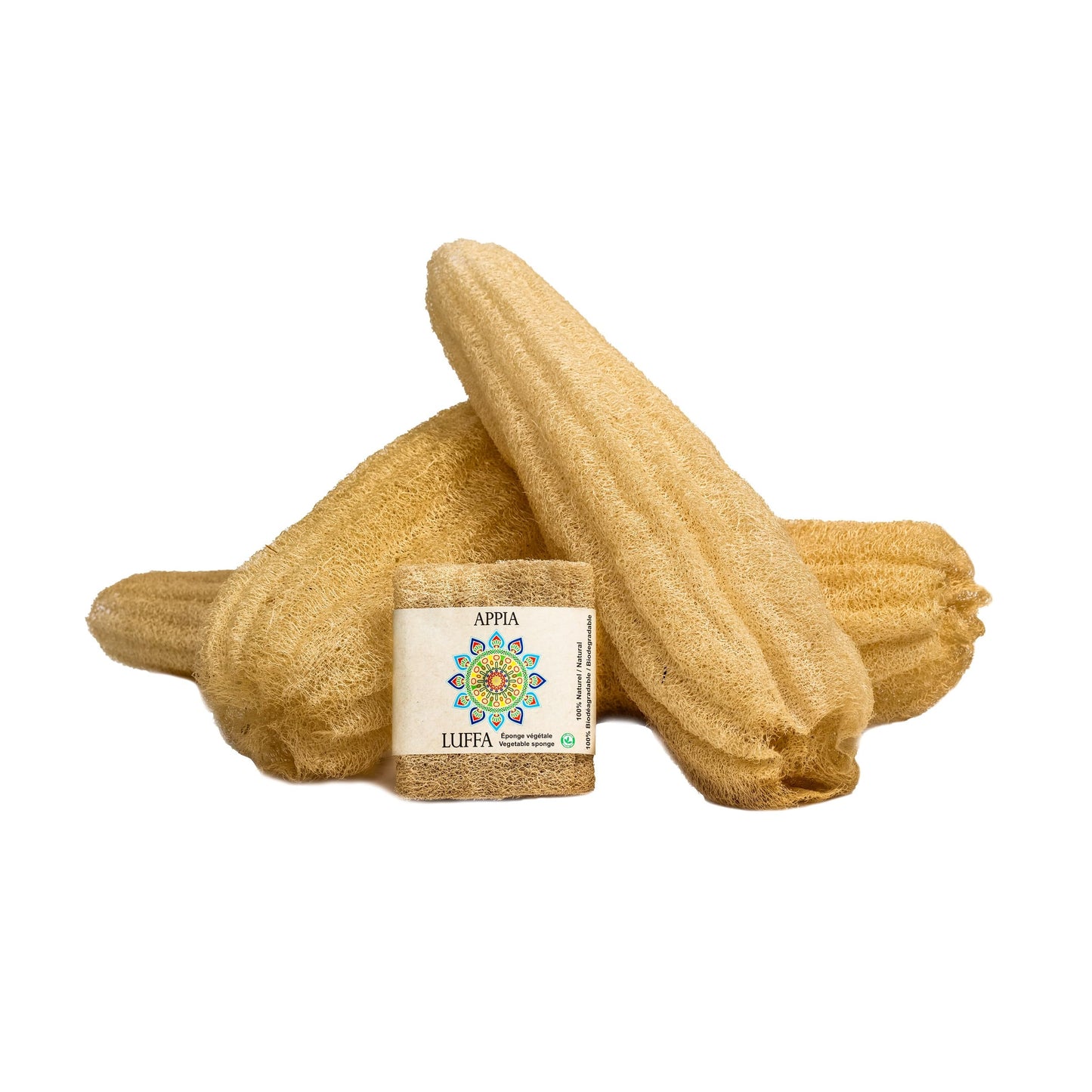 Premium Organic Loofah Sponge Medium 6“ - Loofah for Bath & Shower - Body Scrubber for Shower Scrubbing - Eco Friendly 100% Natural & Biodegradable Beauty and Personal Care Appia Luffa