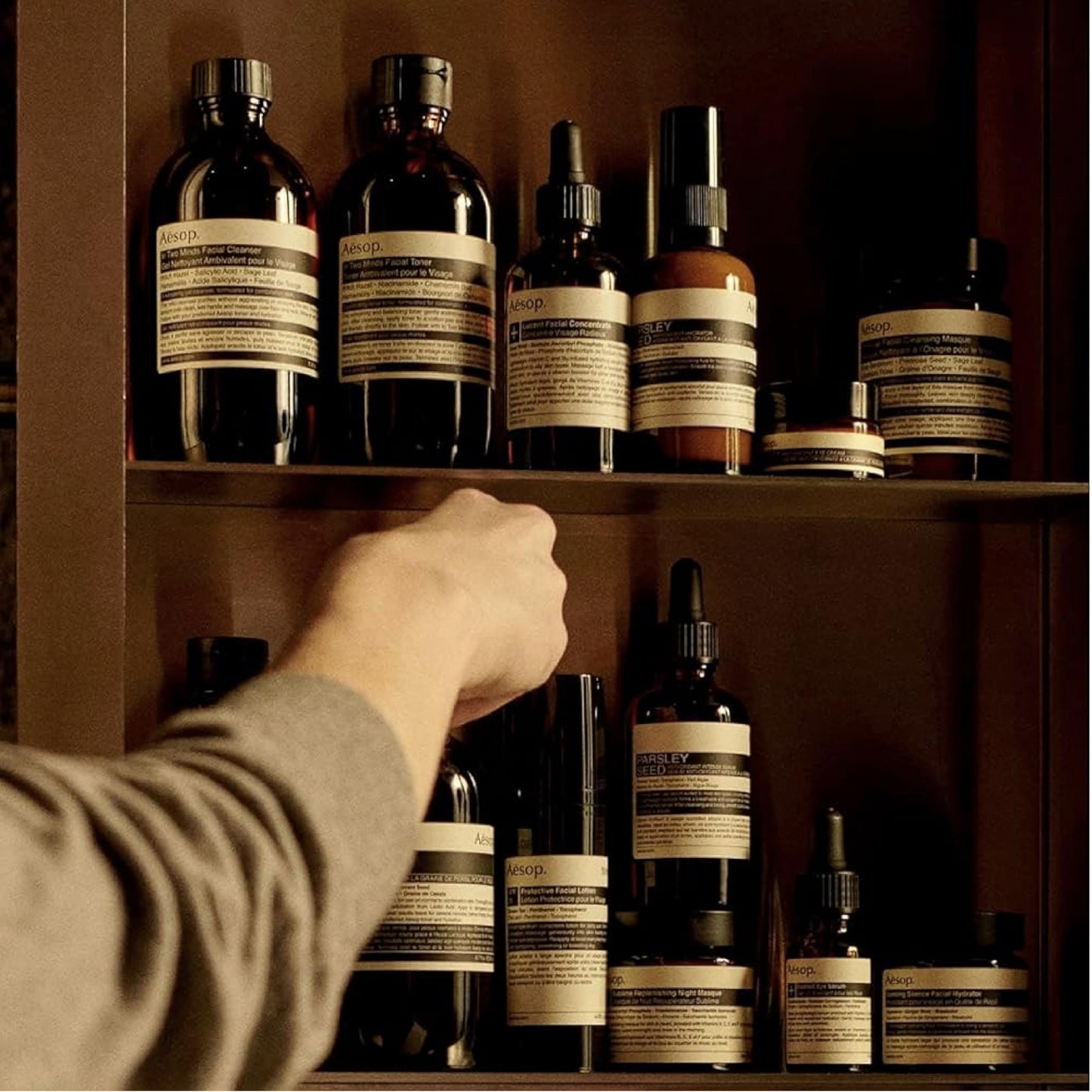 Aesop Violet Leaf Hair Balm | Shaping Balm with Camellia Nut, Carrot Oil & Lavender Stem | Conditions, Softens & Styles Coarse or Treated Hair | 60 Beauty & Personal Care Aesop