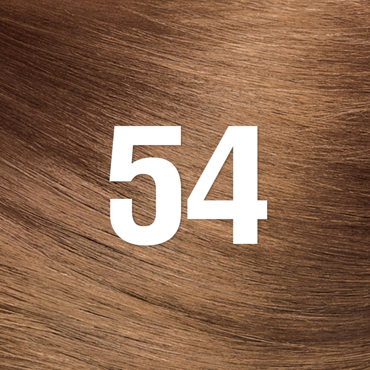 Revlon ColorSilk with Bond Repair Complex, Brown Permanent Hair Color, 100% Gray Coverage, Ammonia Free Hair Dye, Vegan Keratin, 54 Light Golden Brown Beauty & Personal Care REVLON