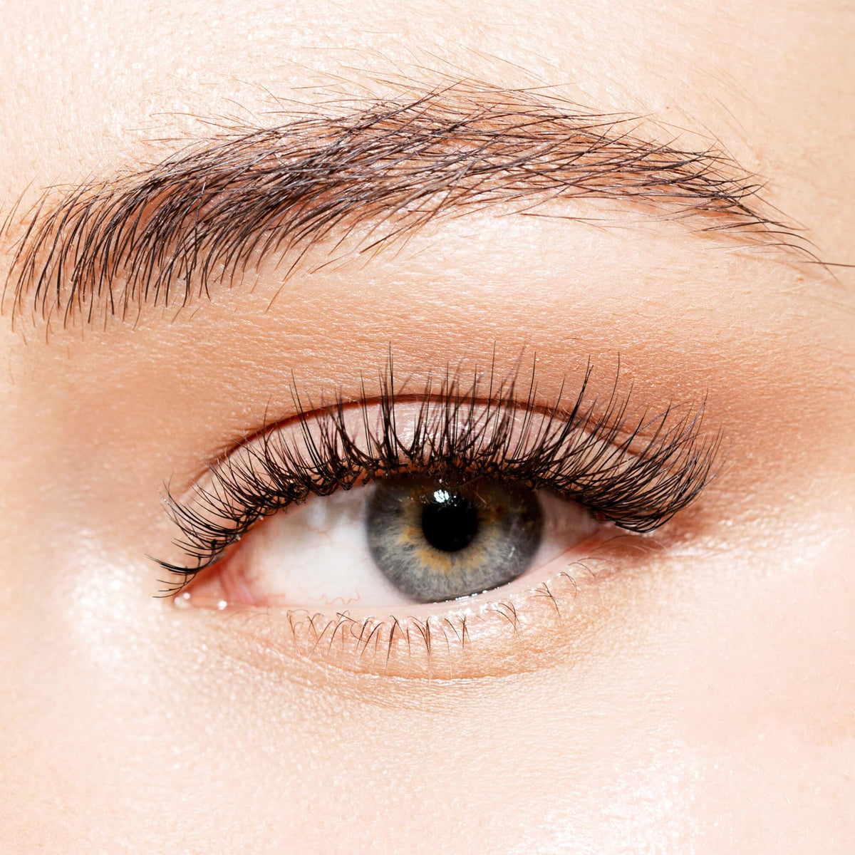 KISS Looks So Natural, False Eyelashes, 'Sultry', 12 mm, Includes 5 Pairs Of Lashes, Contact Lens Friendly, Easy to Apply, Reusable Strip Lashes Beauty & Personal Care KISS