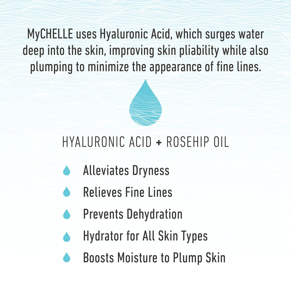 MyCHELLE Dermaceuticals Ultra Hyaluronic Hydrating Serum (1.0 Fl Oz) - Rich Hydration for Dry Skin with Vegan Hyaluronic Acid, Help Plump Skin