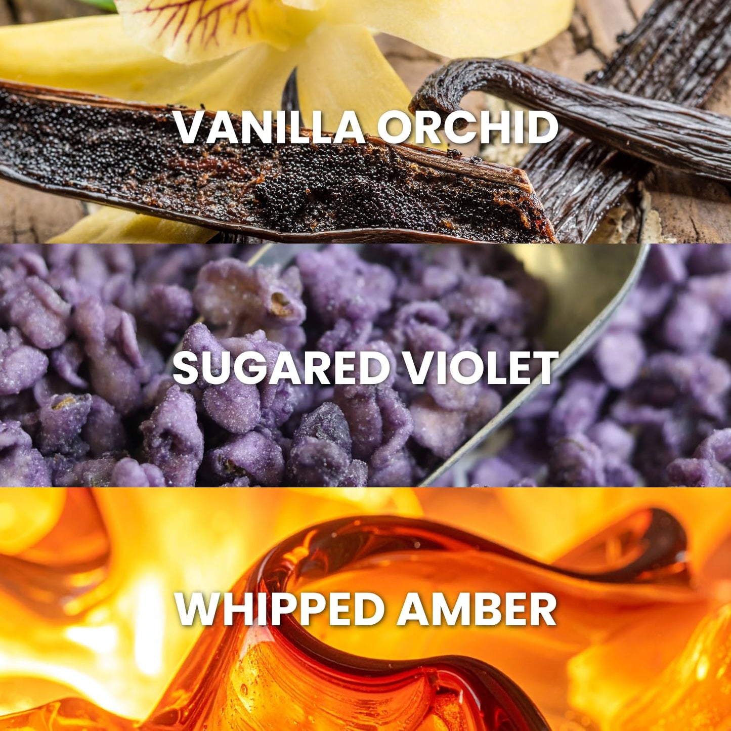 Jean Rish Sugared Amber Perfume for Women Eau De Parfum, Long-Lasting Luxury Fragrance, Made In USA - Vanilla Orchid, Sugar Violet, Whipped Amber Beauty & Personal Care Jean Rish