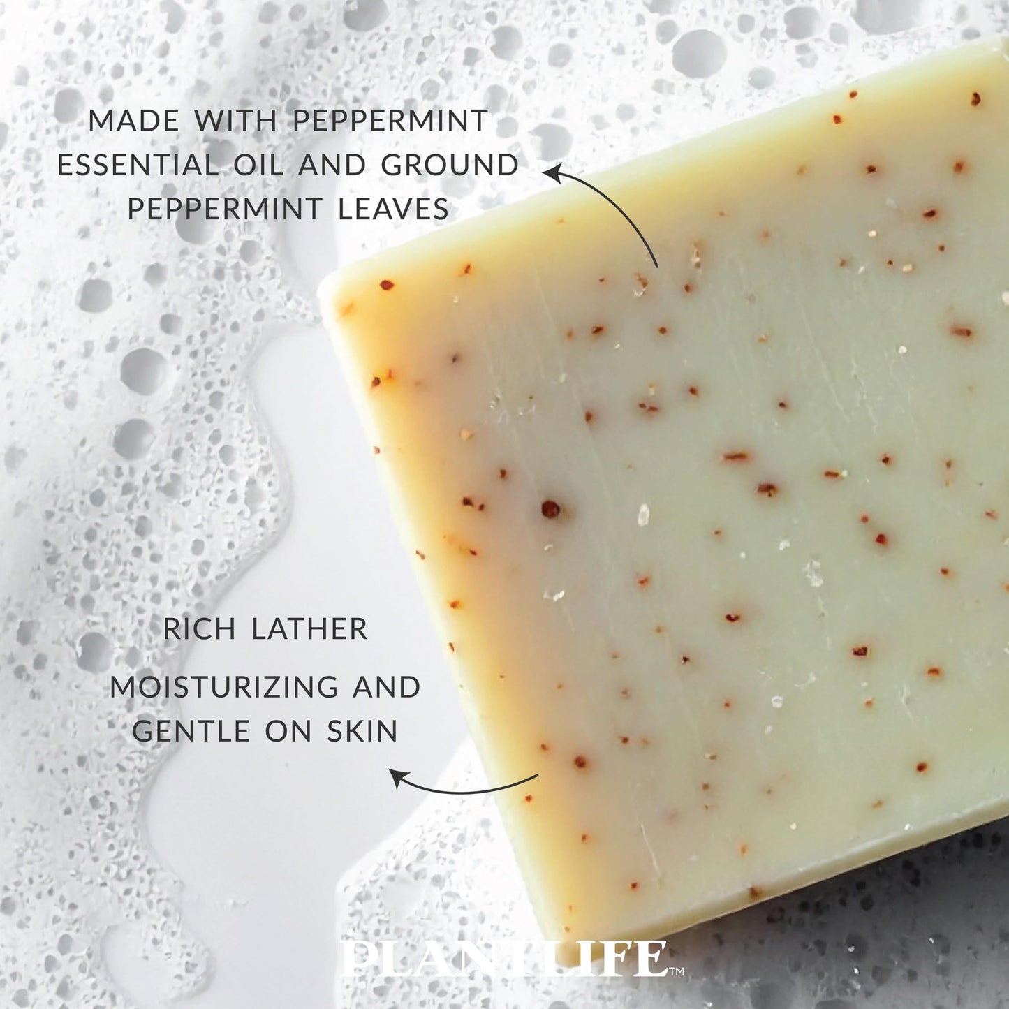 Plantlife Peppermint Bar Soap - Moisturizing and Soothing Soap for Your Skin - Hand Crafted Using Plant-Based Ingredients - Made in California 4oz Bar Beauty & Personal Care Plantlife