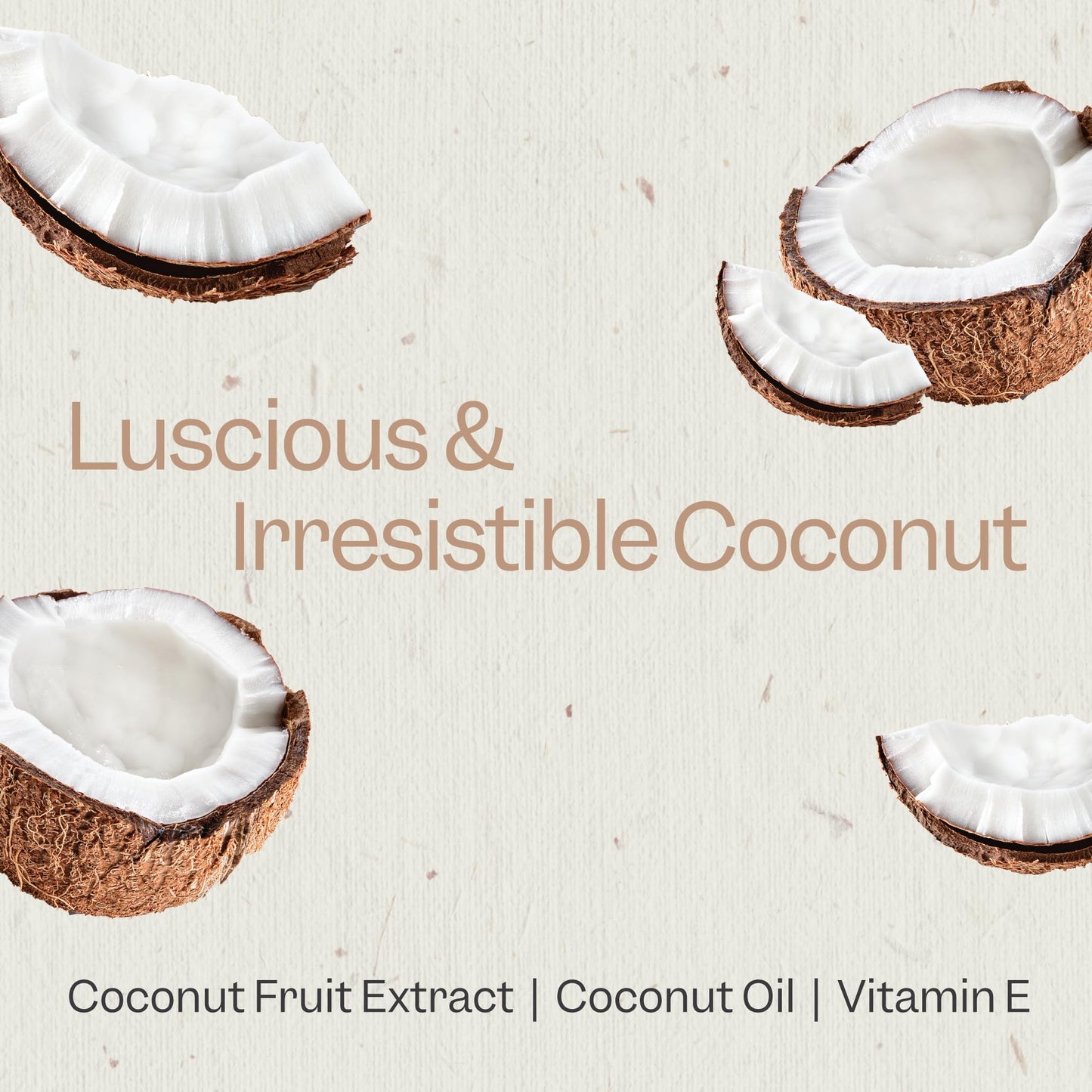 Renpure Coconut Cream & Vitamin E Nourishing Shampoo and Conditioner Set, 24oz Beauty & Personal Care RENPURE