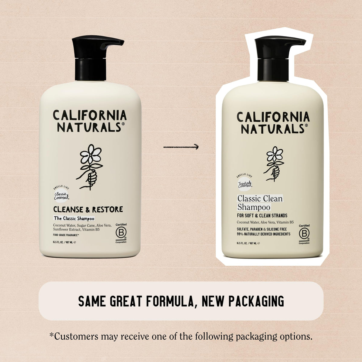 California Naturals Coconut Shampoo, Sulfate Free, Scalp and Hair Care for Women and Men, Coconut Cleansing Complex, Natural, Vegan, Cruelty,