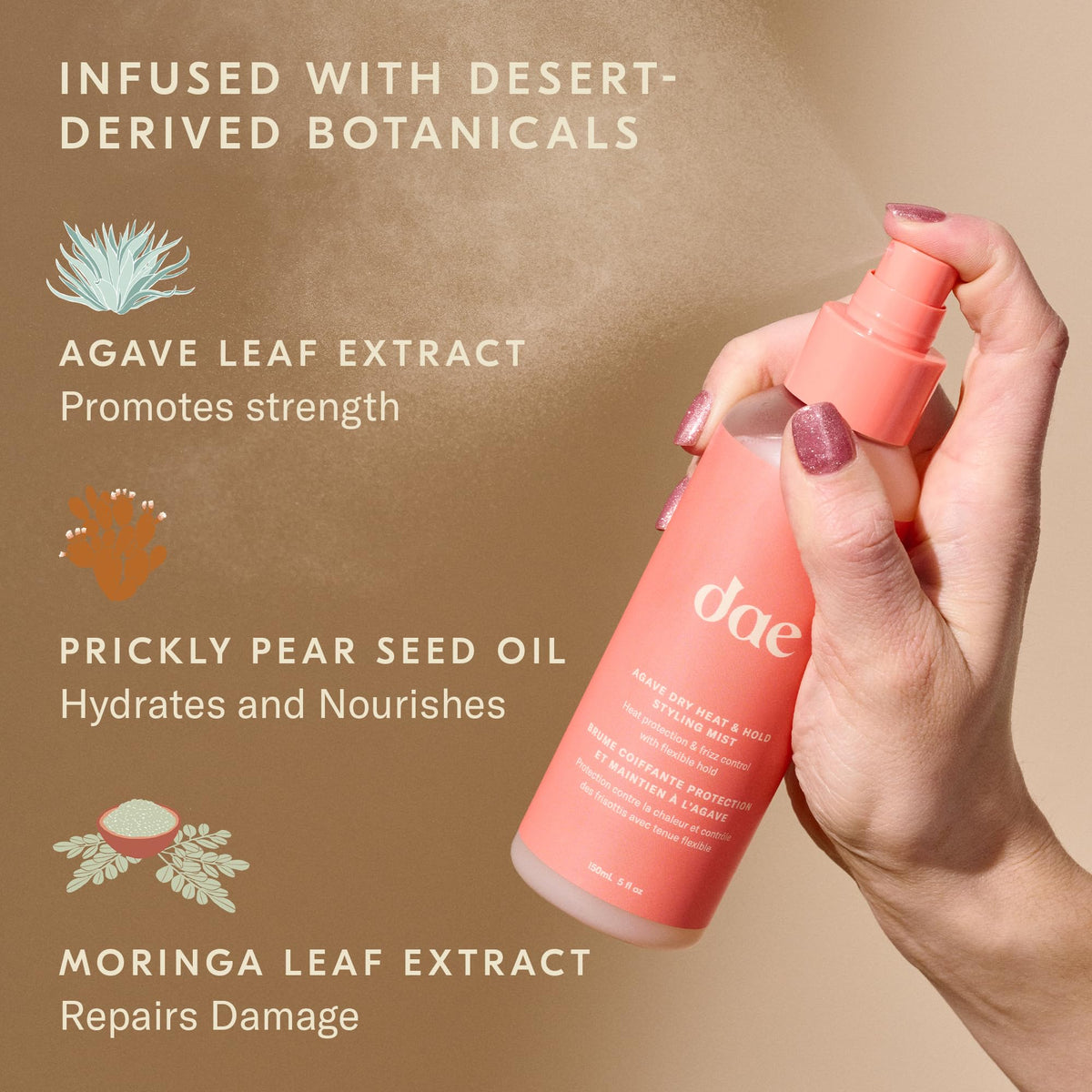 DAE Agave Dry Heat Protection Spray - Protects, Controls Frizz, Light Hold (5 oz.) Beauty & Personal Care DAE