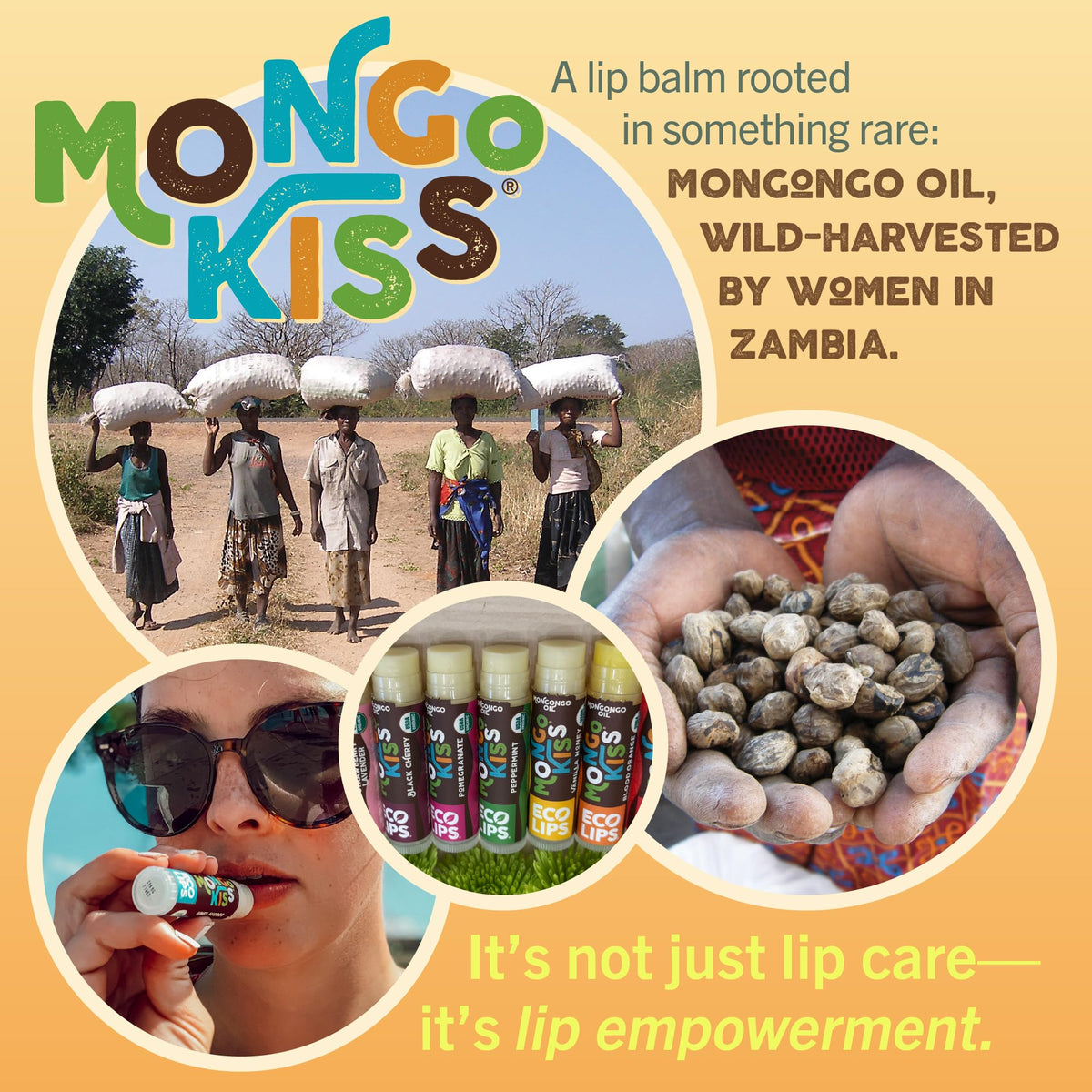 Eco Lips Mongo Kiss Organic Lip Balm 4 Pack Peppermint, Pomegranate, Vanilla Honey, Black Cherry - 100 Percent USDA Organic - Soothe, Moisturize Dry Beauty & Personal Care Eco Lips