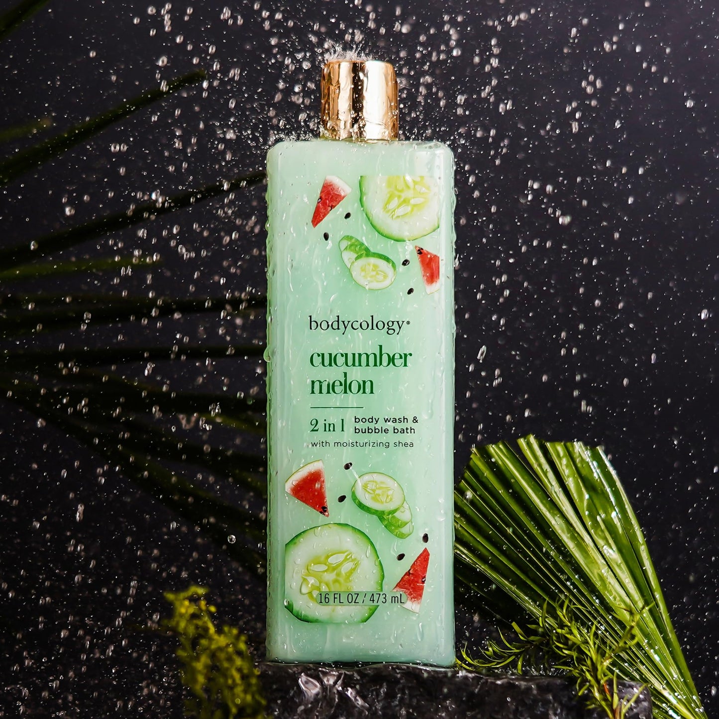 Bodycology Cucumber Melon Body Wash Women 16 oz Beauty & Personal Care Bodycology