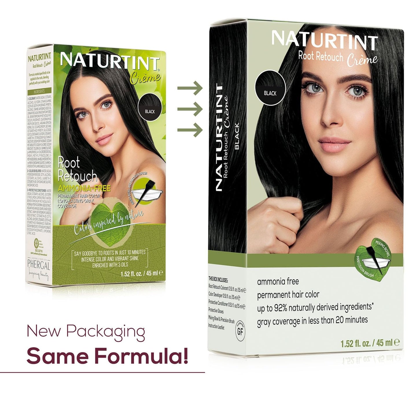 Naturtint Black Root Retouch Crème Permanent Hair Color - Ammonia Free, Conceal Grays, No Artificial Scent, 1.52 Fl Oz Beauty & Personal Care Naturtint