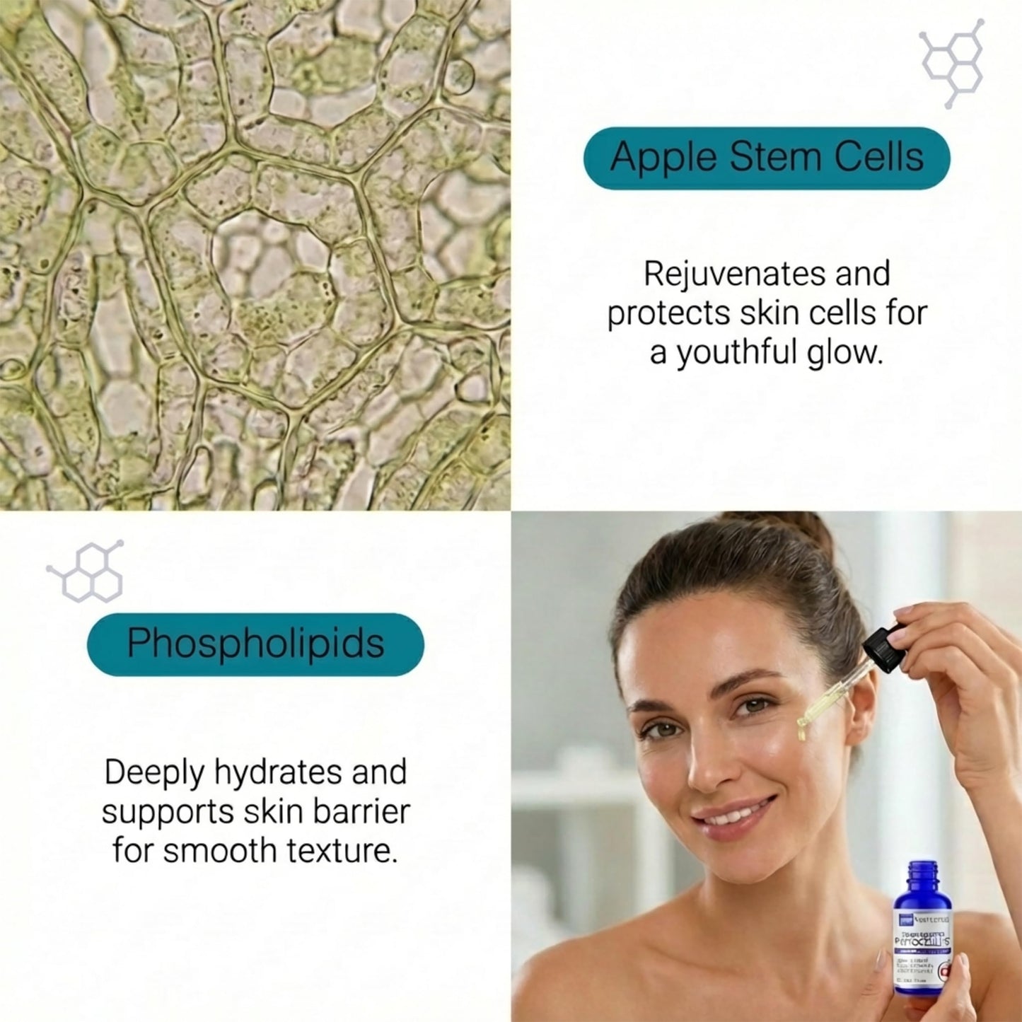 Skin Perfection Phytocell Tec Malus Domestica Apple Stem Cells Anti-aging Serum Booster Youth-boosting Phospholipids Hydration Lotion Making Supplies Beauty & Personal Care Skin Perfection