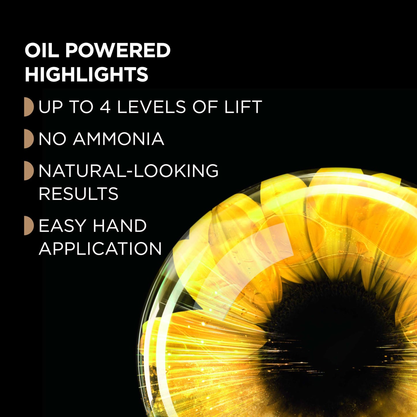 Garnier Hair Color Olia Ammonia-Free Permanent Hair Dye, H03 Highlights for Brunettes, 2 Count (Packaging May Vary) Beauty & Personal Care Garnier