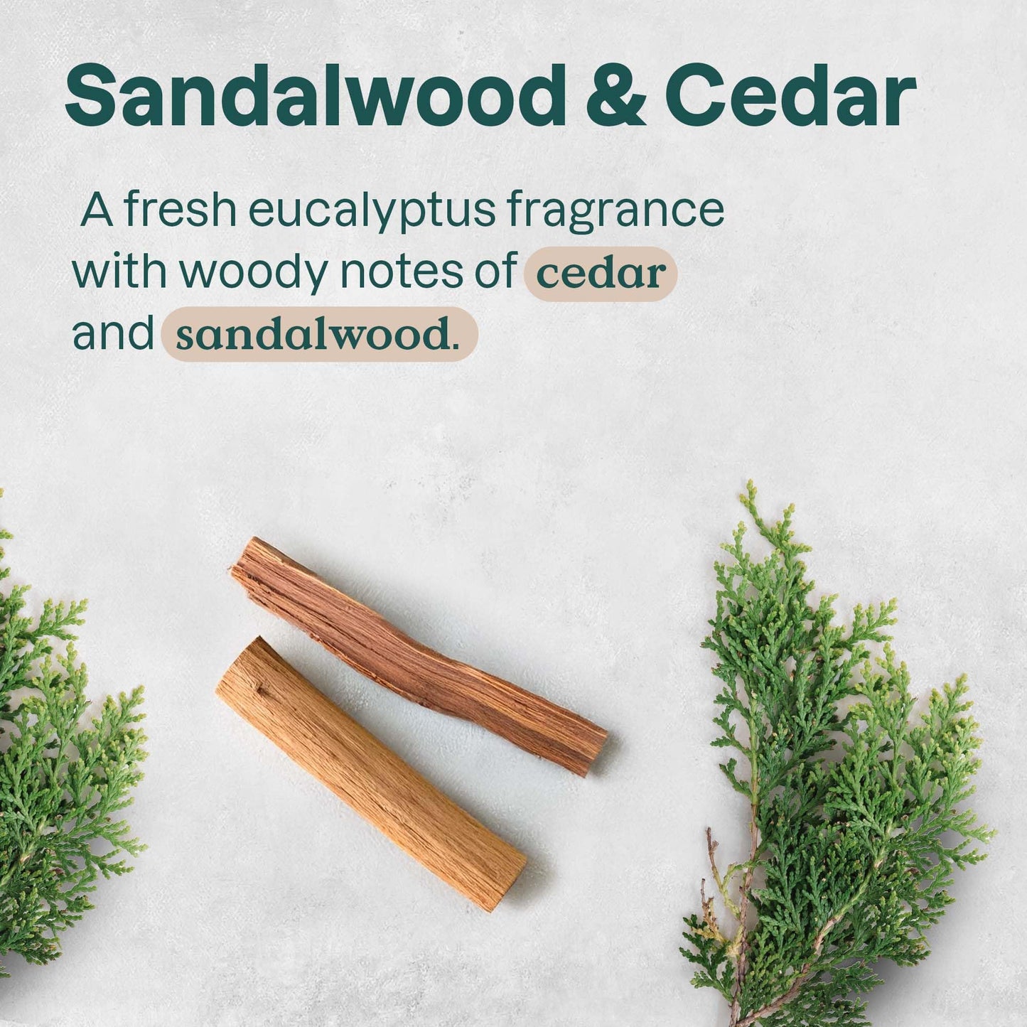 ATTITUDE Aluminum Free Deodorant, Natural Origin Ingredients, EWG Verified, Odor Control With Baking Soda, Twist & Glide, Dermatologically Tested Beauty and Personal Care ATTITUDE