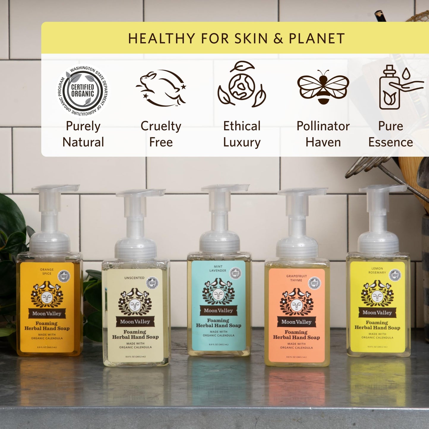Moon Valley Herbal Foaming Hand Soap, Lemon Rosemary Two Pack, Vegan, Recyclable Bottle Beauty & Personal Care Moon Valley Organics
