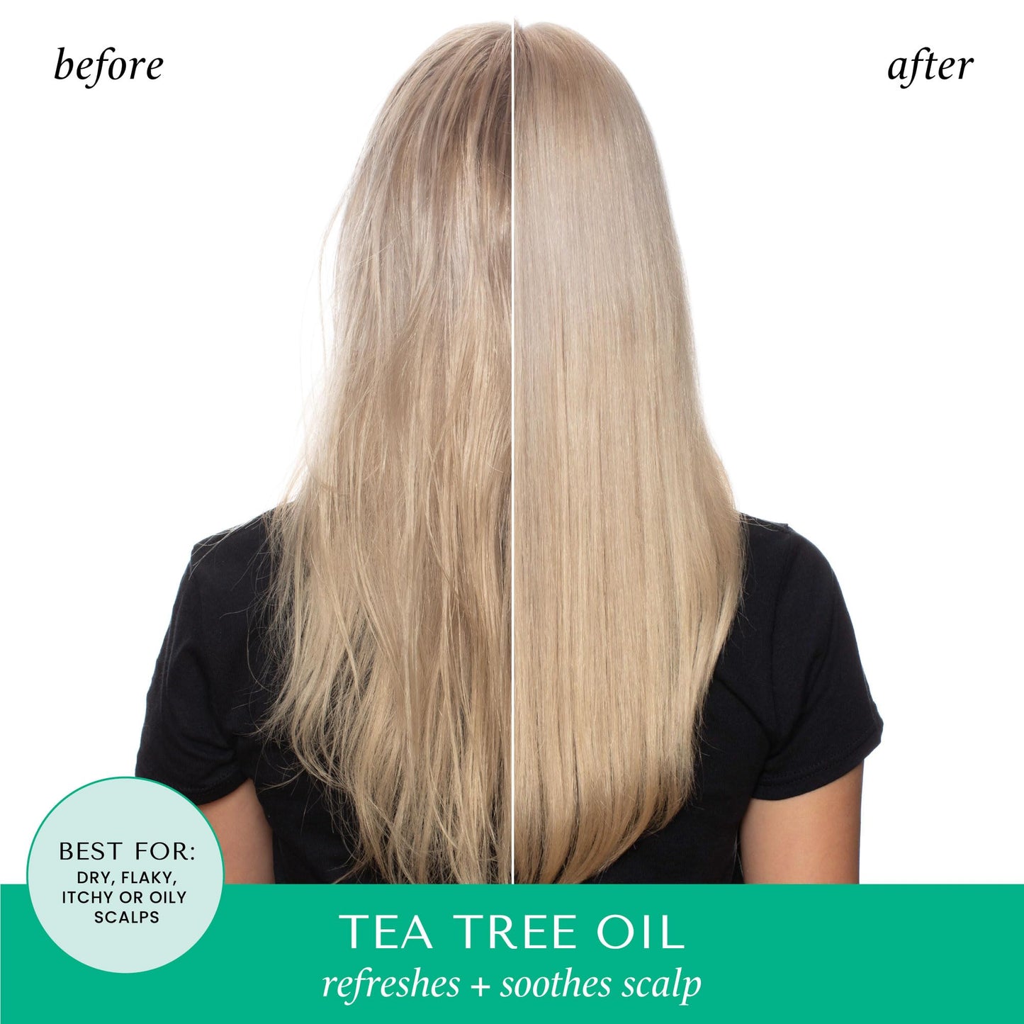 HASK Tea Tree Oil & Rosemary Invigorating Shampoo + Conditioner Set | Refreshes Scalp, Sulfate-Free, Paraben-Free, Gluten-Free, Color Safe | 12oz each Beauty & Personal Care HASK