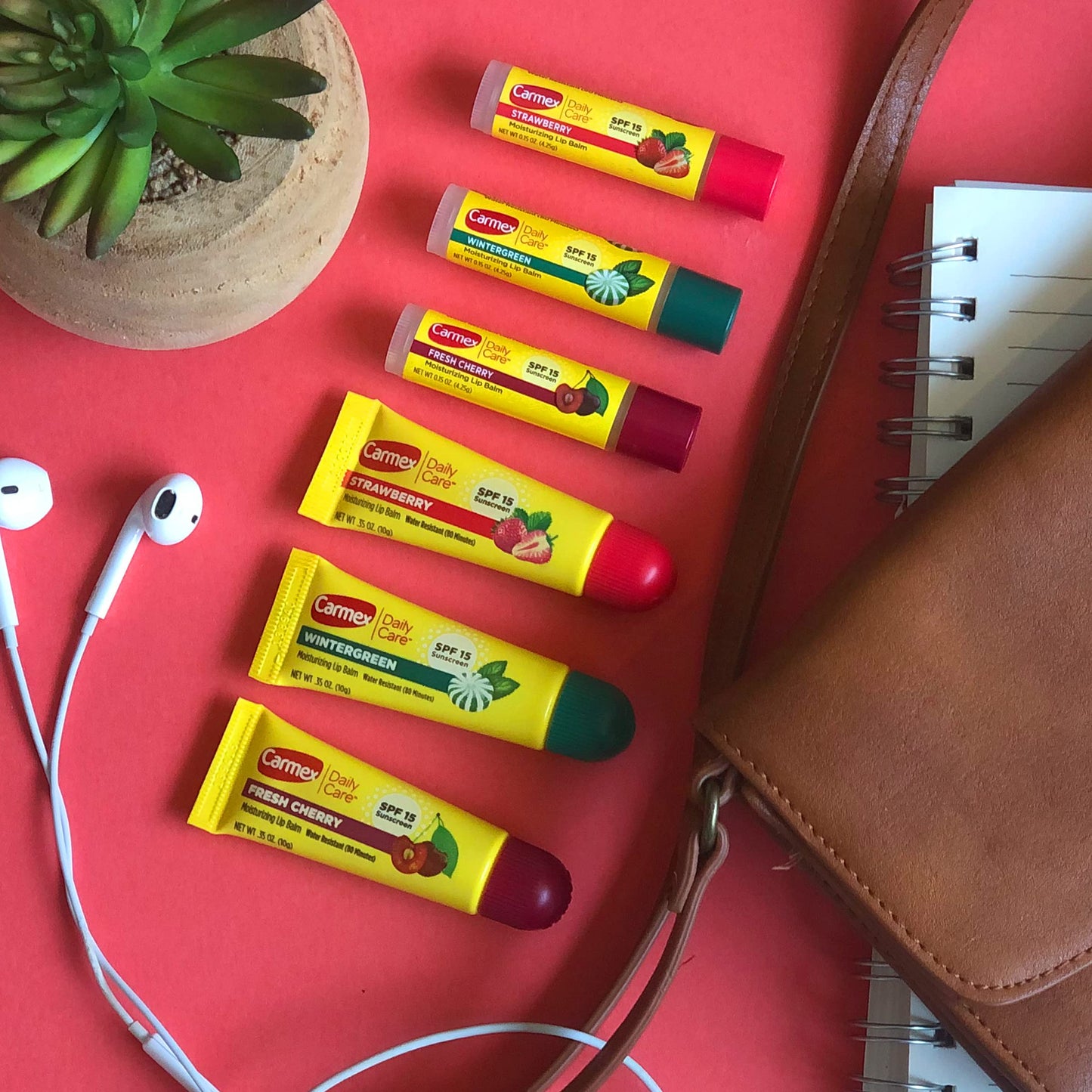 Carmex Daily Care Moisturizing Lip Balm with SPF 15, Multi-Flavor Lip Balm Pack, 12 Count (6 Tubes, 6 Sticks) Beauty & Personal Care Carmex