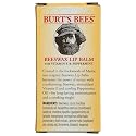 Burts Bees 2 Pack Beeswax Lip Balm, 0.3 OZ Beauty & Personal Care Burt's Bees