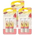 Carmex Comfort Care Lip Balm Sticks with Colloidal Oatmeal, Watermelon Blast Flavor, 6 Count (3 Packs of 2) Beauty & Personal Care Carmex