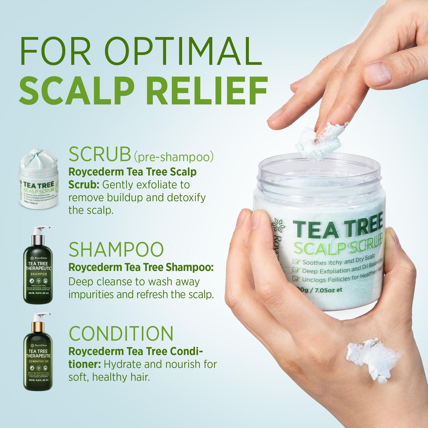 Roycederm Tea Tree Antifungal Shampoo: Folliculitis Shampoo for Dry Scalp, Dandruff, and Itchy Scalp - Medicated Clarifying shampoo with Tea Tree Oil Beauty & Personal Care Roycederm